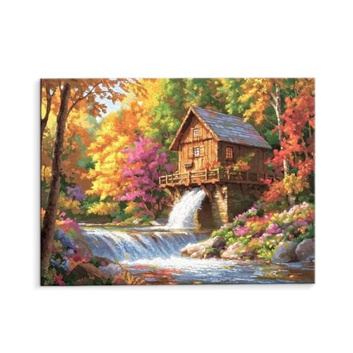 DIY G X̏ Paint by Numbers hG Lbg l ʂ肦 q̗phGLoXNtg LoXA[g uVƃANG̋, CeA rO, ւ̃Mtg 30x40cm (t[X