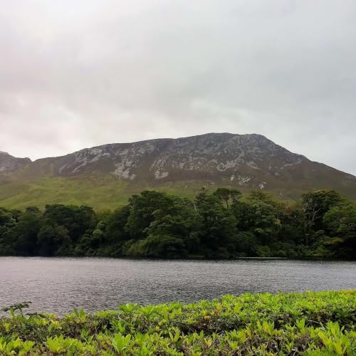 『Sc&eacute;al &Eacute;ireann: Stories from Ireland』のカバーアート