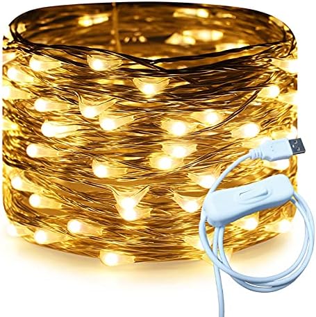 RUICHEN Silver Wire 33 Ft 100 LED USB Fairy String Lights with On/Off Switch (Warm White)