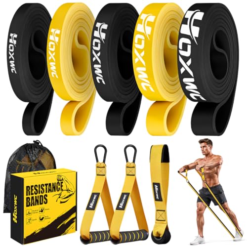 HOXWC Resistance Bands, Heavy Duty Pull Up Resistance Band with Door Anchor, Handles, Exercise Bands for Working Out Men&Women, Ideal for Pull Up, Muscle Training, Physical Therapy, and Home Workouts