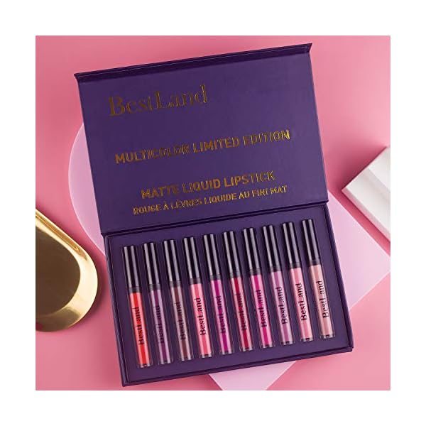 BestLand 10pcs/Set Matte Lipstick Lip Kit, Velvety Liquid Lipstick Waterproof Long Lasting Durable Nude Lip Gloss Beauty Cosmetics Gift Box Makeup Set Kit (10 Piece Set)