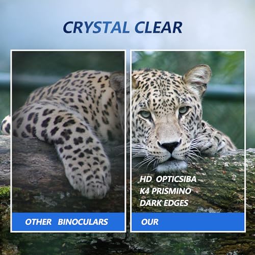Digital Binoculars with 40MP Camera | 10x Optical Zoom | 8X Digital Zoom | 2.5K Videos | HD Quality | Ideal for Concerts, Bird Watching, and Outdoor Adventures (MJ-Black)