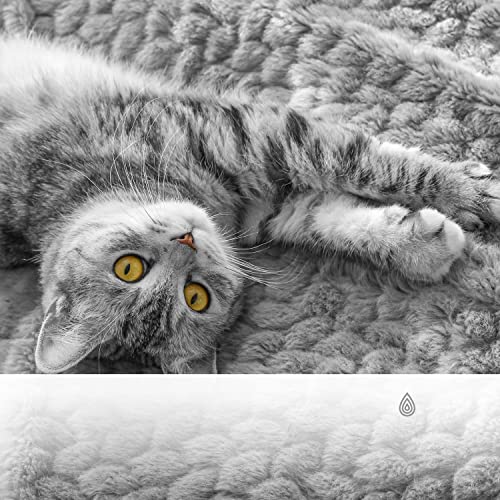 Meilleures pistes musicales pour les chats Chansons relaxantes von VARIOUS ARTISTS bei Amazon