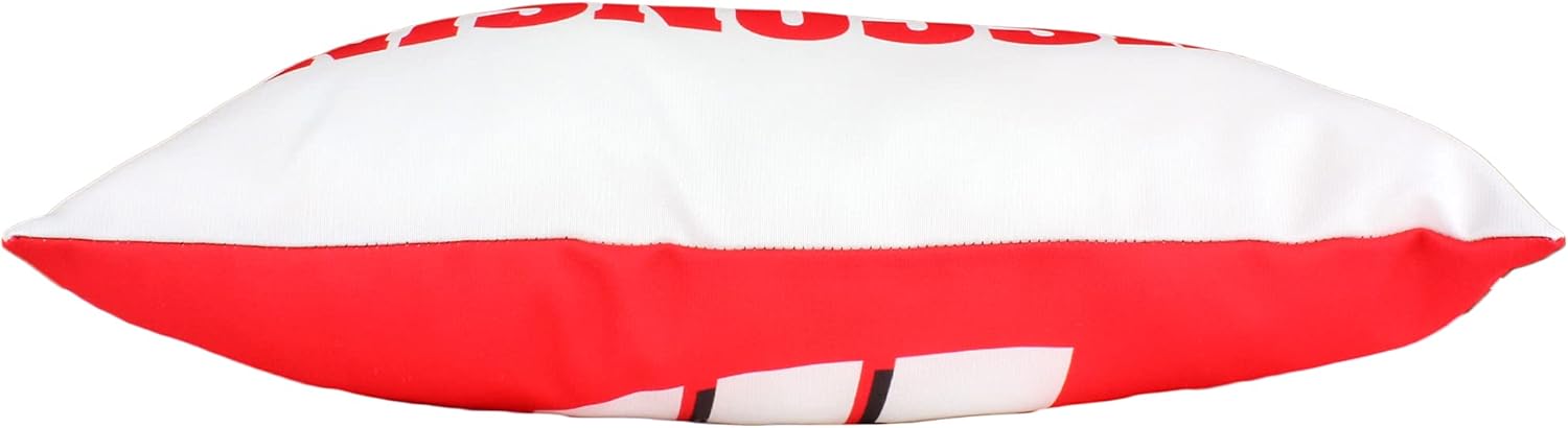 College Covers Everything Comfy Wisconsin Badgers 2 Sided Bolster Small Travel Pillow Decorative Pillow 16 x 6