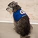 Premium ESA Dog Vest - for Smaller Emotional Support Animals (11-20 Pounds, Blue) - Includes 5 Federal Law ESA Handout Cards