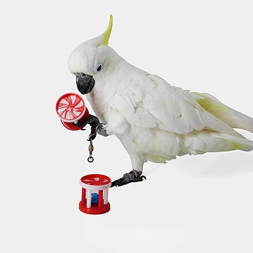 Miniatura 3 de 6 piezas de rompecabezas de loro, herramienta de enseñanza, herramientas interactivas, juguete de crecimiento de inteligencia, suministros de