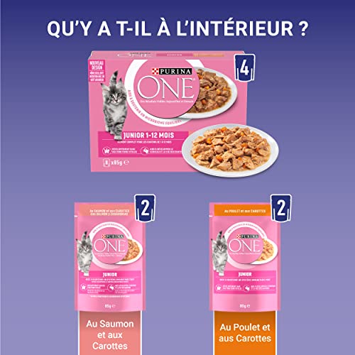 PURINA One Chat Junior - de 1 à 12 Mois - Effilés en Sauce au Saumon ou au Poulet - 8x85g - Sachet frâcheur pour Chaton