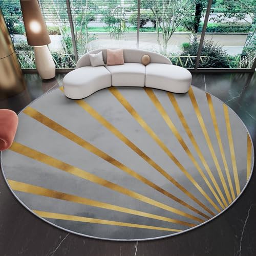 Round Area Rug 4ft Circle Washable Rugs for Living Room