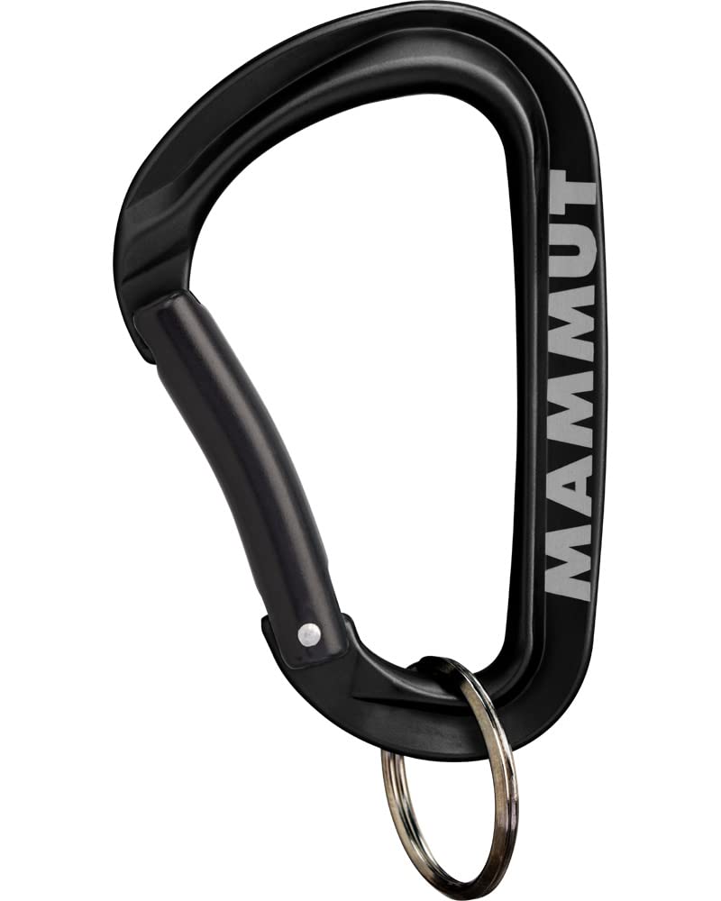 Mammut Mammut Mini Carabiner Workhorse Keylock L one size