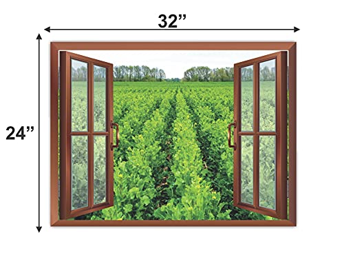 Image of CVANU Beautiful View Fresh Green Leafy Plants Radiant with Sunshine with Blue Sky Filled with Bunch of White Clouds Removable Faux Window Wall Sticker /Decals for Living Room etc Cv 41