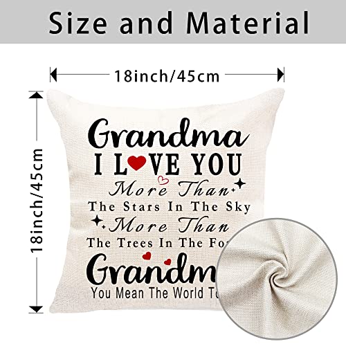 Pinata Grandma Birthday Gifts thumb #1