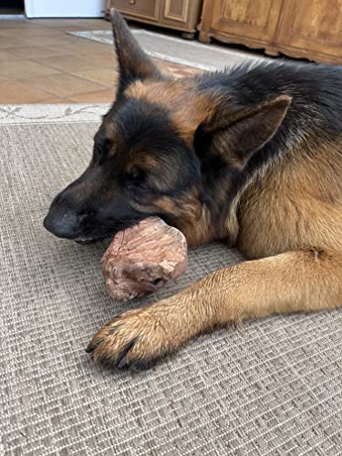 Kork-Deko Kauwurzel für Hunde | Kauspielzeug aus Wurzel der Baumheide | Nachhaltig, unbehandelt & unbedenklich | Natürlicher Kauknochen ohne Kalorien | Bruyère Holz aus Portugal