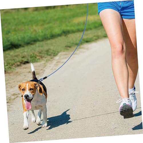 Laisse de promenade pour chien ajustable pour éviter les tractions