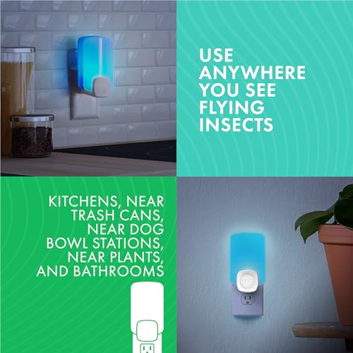 Image of STEM Flying Insect Light Trap Refill Cartridges, Indoor Fruit Fly, Insecticide-Free Pest Control for Home, Attracts and Traps Insects, Official STEM Refills - 4 Count (Pack of 2)