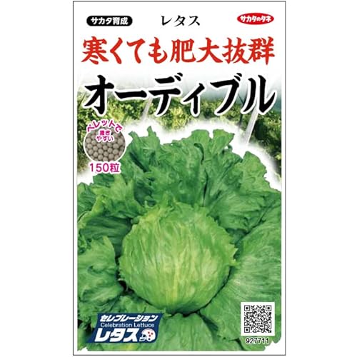 TJ^̃^l 7711 ^X ybg I[fBu