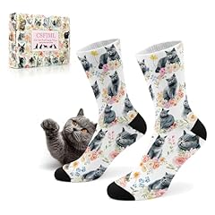 Blue British Shorthair Cat