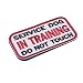 Feliscanis Service Dog in Training Dog Patches Hook and Loop Both Sides 2 Pack