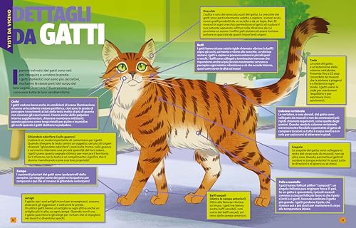 A Ciascuno Il Suo Gatto! - 7