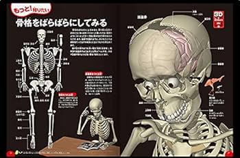 小学生でもわかるカット講習　DVD3枚と資料＋おまけDVD2枚付き ヘアーカット練習 『小学生でもわかるカット講習！』 DVD3枚付