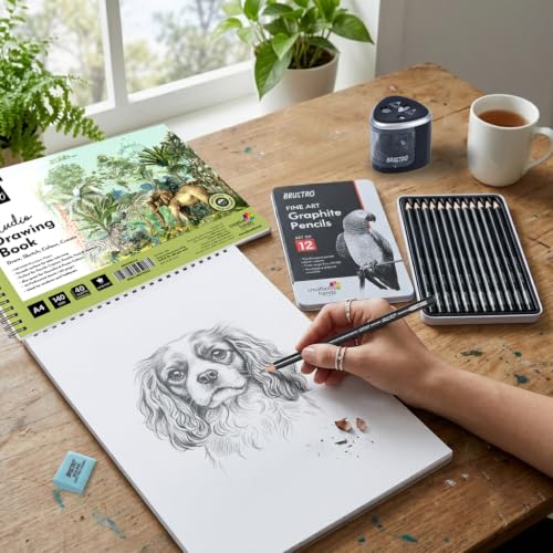 Image of BRUSTRO Artists Fineart Graphite Pencil Set of 12(10B-2H) with Elegant Tin Box With Studio Drawing Book,Blank 80 Pages, Wiro Bound, A4(8.3x11.7 inches), 140 GSM,Perforated Sheets|For Sketching,Writing