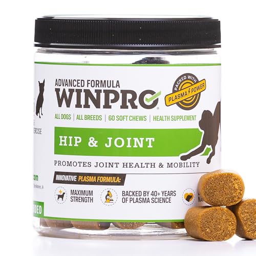 WINPRO Hip & Joint Supplement for Dogs - Plasma Powered Chews for Joint Health & Mobility – Fast-Acting with Collagen & Natural Ingredients for Dogs of All Breeds – 60 Chews – Made in USA