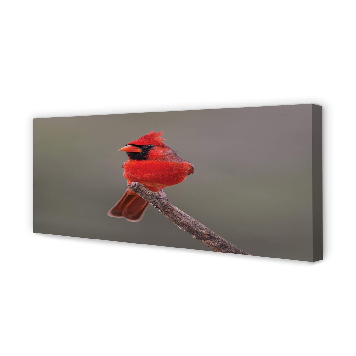 Peinture sur toile Oiseaux 125x50cm Tulup image décorative murale salon