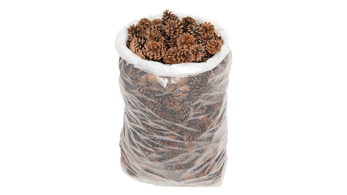 NaDeco 10 kg Schwarzkiefer Zapfen ca. 5-6cm Tannenzapfen Kiefernzapfen Pinus nigra Schwarzkiefern Zapfen Deko Zapfen Kieferzapfen