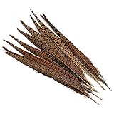 Lampu 10 Pcs 13-15 inch Natural Pheasant Feathers Pheasant Tails