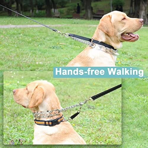 Backup Collar, Double Ended Clip And Carabiner For Prong Collar, Pinch Collar And Dog Harness, Safety Use For Walking And Training (S, Black) #TOP6