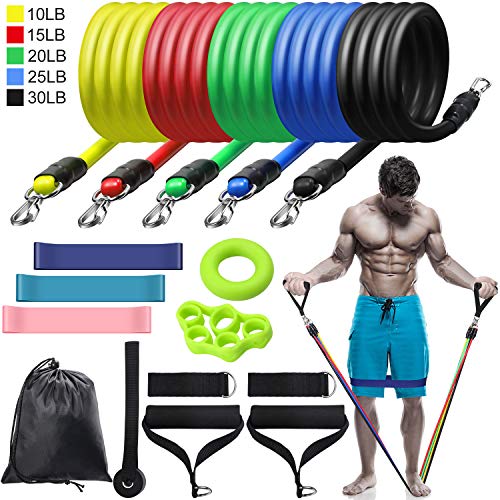 16 Pieces Resistance Bands Set, Including Workout Exercise Bands, Door Anchor, Ankle Straps
