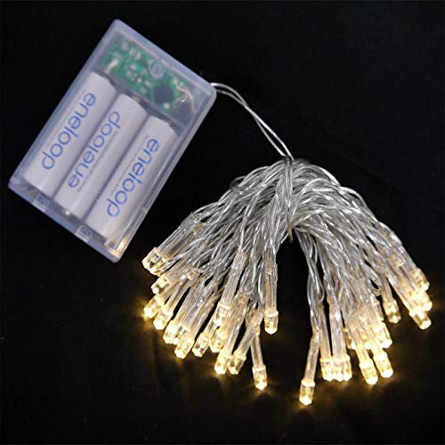 fantado 30 LED Warm White Mini String Lights, 10.8 FT Clear Cord, Battery Operated by PaperLanternStore