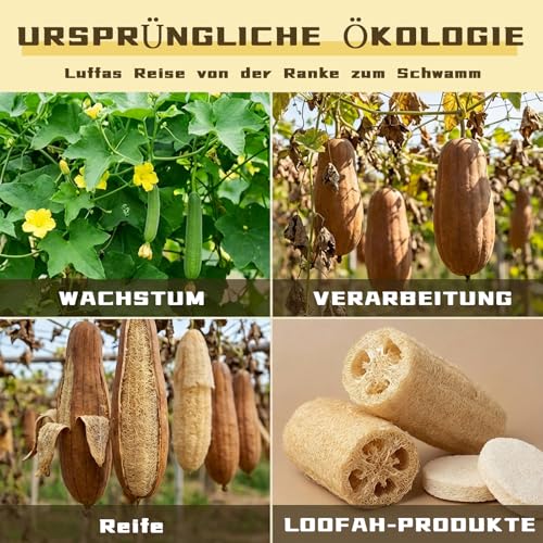 6 Stück Luffa Schwamm Peeling Pad, Gesichts und Körperpeeling Schwämme, Natürliche Duschbürste für Gesichtsreinigung und Make-up-Entferner, für Bad, SPA und Dusche