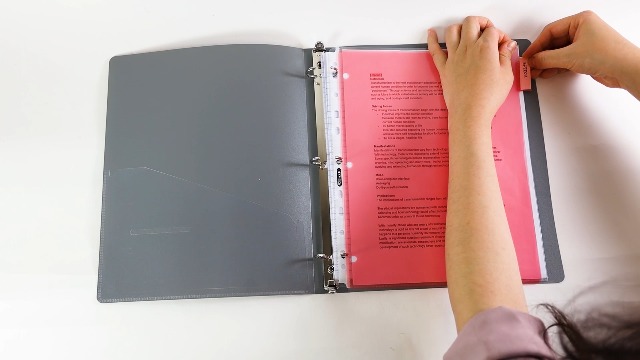 Amazon.com : BAZIC Binder Dividers w/ 5 Insertable Color
