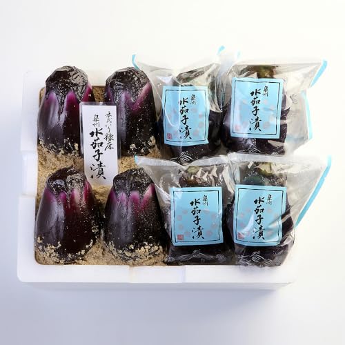 y̏ zB֎qЋl `ʂ×4Eے×4`