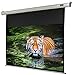 Produktbild celexon motorisierte Heimkino- und Präsentations-Beamer-Leinwand Wand-oder Deckenmontage elektrische Leinwand Motor Economy - 180 x 102 cm - 16:9