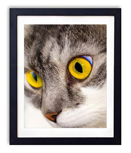 BAODANH 10 Yard 2/2.5mm Crystal Rhinestone Close Chain Clear Trimming Claw Chain Sewing Craft Rhinestones