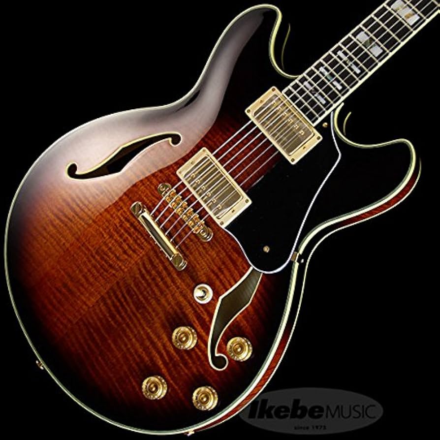 Amazon | Ibanez / JSM100 Vintage Sunburst (VT) John Scofield