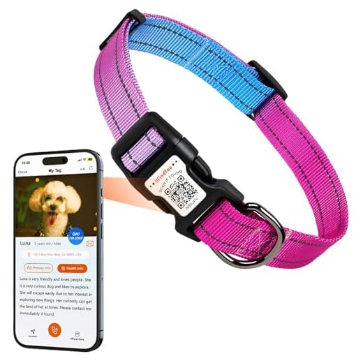 Reflective Nylon Dog Collar