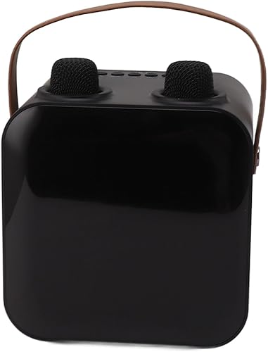 VINGVO Karaoke Machine, 15W Karaoke Speaker Dynamic Light for Home (Black)