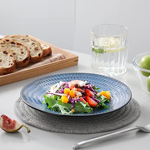 Vancasso Pluvo Salad Plates Set Of 6, 8.5 Inch Dessert Plates, Ceramic Plates Microwave, Oven And Dishwasher Safe, Vintage Blue Plates Set #TOP6