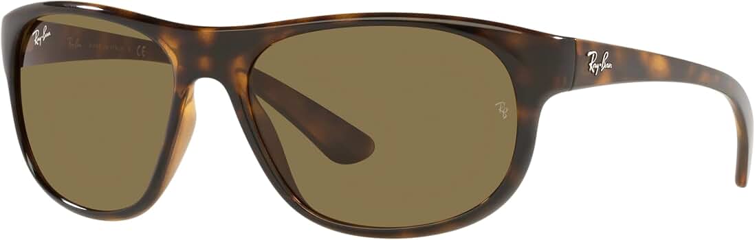 Amazon | [レイバン] サングラス RB4351 HAVANA 59 | サングラス 通販