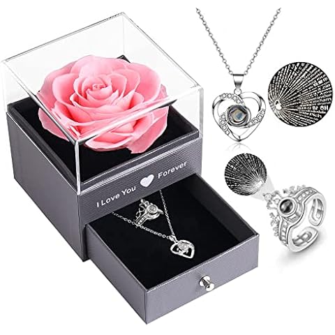 Preserved Real Rose Enchanted Real Rose with Heart I Love You Necklace 100 Languages Gift Box,Preserved Flesh Flower Rose for Valentine's Day Anniversary for Her (Silver-S-Red) (Silver-S-Pink R) Cover