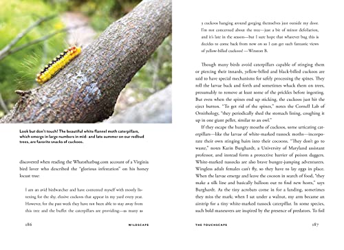 Wildscape: Trilling Chipmunks, Beckoning Blooms, Salty Butterflies, and other Sensory Wonders of Nature (-) - Image 11