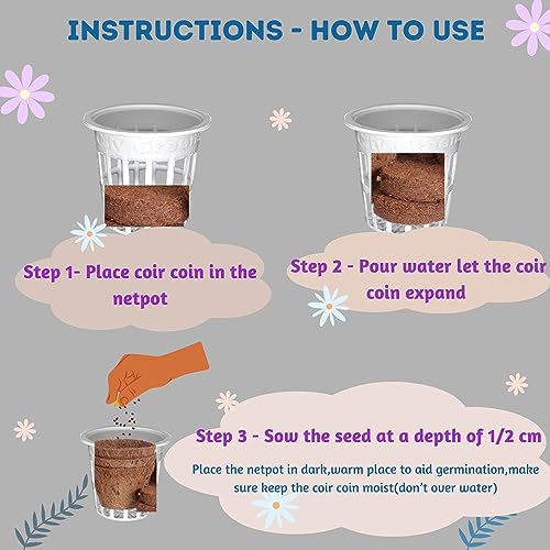City Greens Seed Starter Kit for 15 Plants (Seeds, Cocopeat, Clay Pebbles, Net Pots, Instruction Set, Nutrient Enriched, Neem Oil Treated)