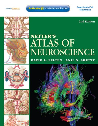 Netter's Atlas of Neuroscience E-Book (Netter Basic Science)