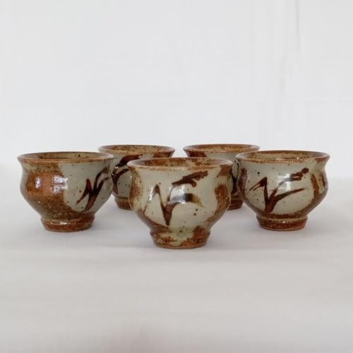 �v�q�� ������ 5�Z�b�g