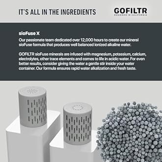 GOFILTR Jumbo Magnesium Alkaline Water Infuser - 9.5 pH + Electrolytes for Any Large Water Bottles/Pitchers, 300 Gallon / 3 Months, Ionized Mineral Alkaline Water Infuser (1 Pack)