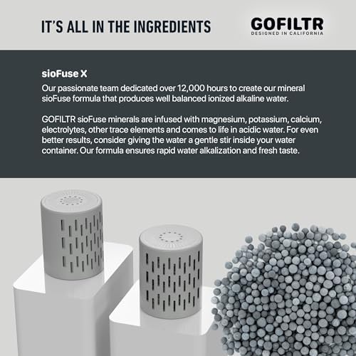 GOFILTR Jumbo Magnesium Alkaline Water Infuser - 9.5 pH + Electrolytes for Any Large Water Bottles/Pitchers, 300 Gallon / 3 Months, Ionized Mineral Alkaline Water Infuser (1 Pack)