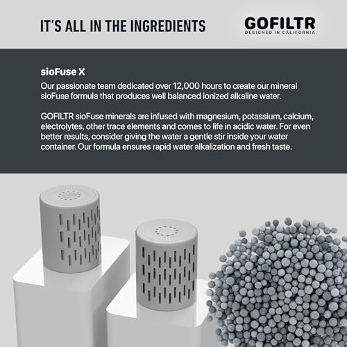 GOFILTR Jumbo Magnesium Alkaline Water Infuser - 9.5 pH + Electrolytes for Any Large Water Bottles/Pitchers, 300 Gallon / 3 Months, Ionized Mineral Alkaline Water Infuser (1 Pack)