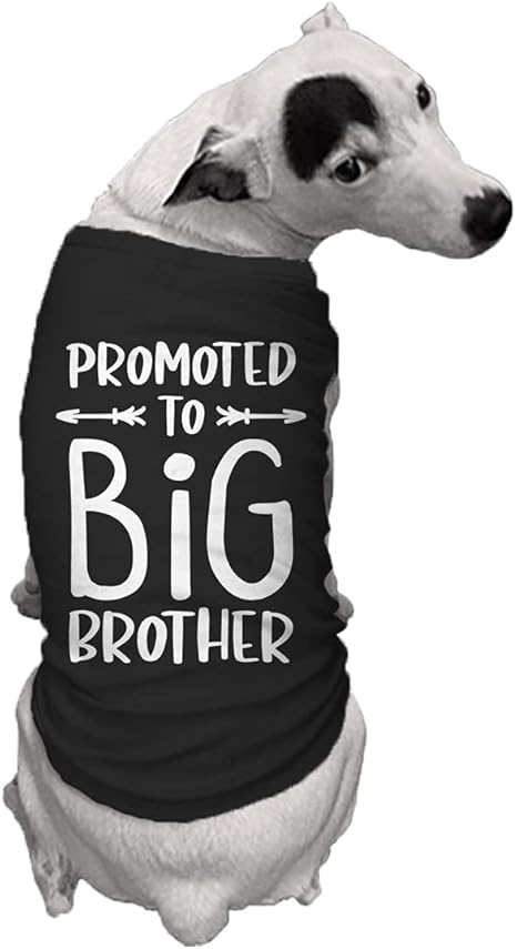 future big brother dog shirt